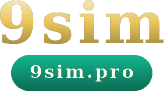 9sim logo